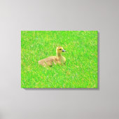 Afdrukken van verrekend Canvas (Voorkant)