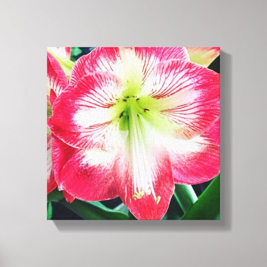 Afdrukken van verrekend Canvas (Voorkant)