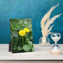 Afdrukken van verrekend Canvas