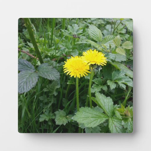 Afdrukken van verrekend Canvas Fotoplaat (Voorkant)