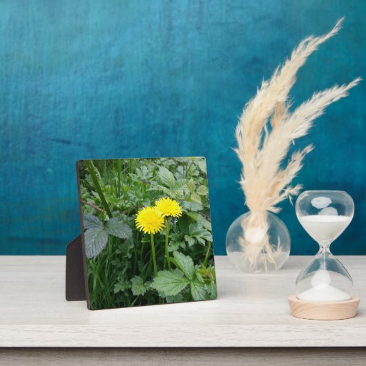 Afdrukken van verrekend Canvas Fotoplaat (Insitu)