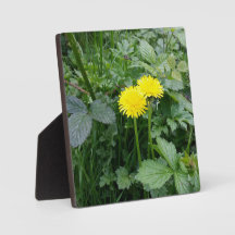 Afdrukken van verrekend Canvas