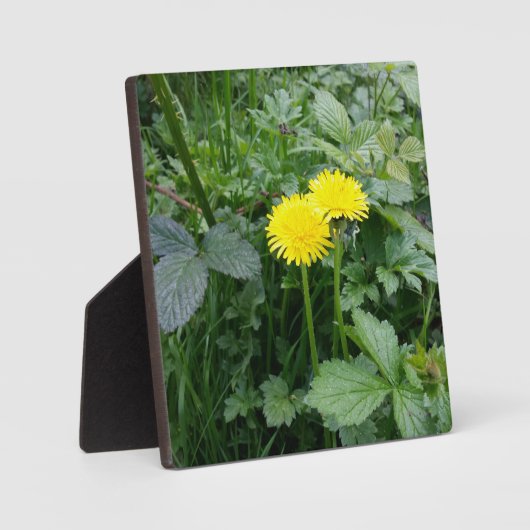 Afdrukken van verrekend Canvas Fotoplaat (Voorkant)