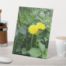 Afdrukken van verrekend Canvas