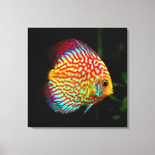Afdrukken van viscanvas van Discus aquarium