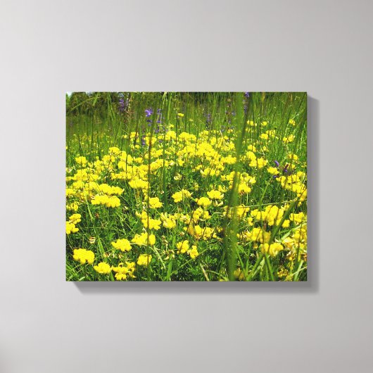 Afdrukken van vogel-voet Trefoil canvas (Voorkant)