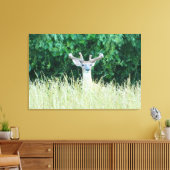 Afdrukken van watchful Whitetail Deer (Summer) (Insitu (Woonkamer))