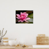 Afdrukken van water Lilly Canvas Poster (Keuken)
