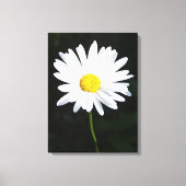 Afdrukken van White Daisy Flower Canvas (Voorkant)