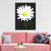 Afdrukken van White Daisy Flower Canvas (Insitu (Woonkamer))