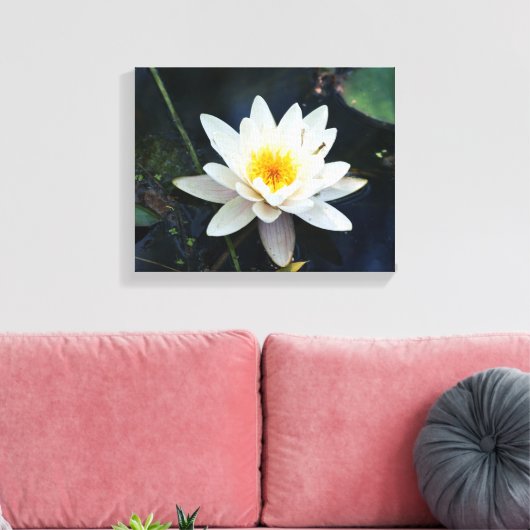 Afdrukken van wit waterlily Stretted Canvas (Insitu (Woonkamer))