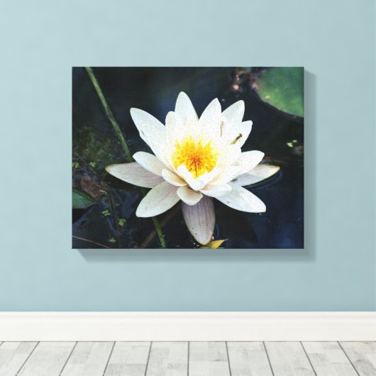 Afdrukken van wit waterlily Stretted Canvas (Insitu (Houten vloer))