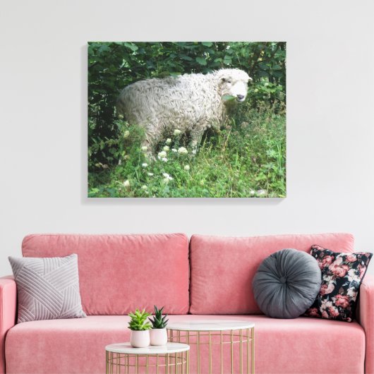 Afdrukken van witte tapijten voor schapen die glad (Insitu (Woonkamer))