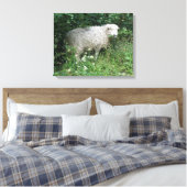 Afdrukken van witte tapijten voor schapen die glad (Insitu (Slaapkamer))