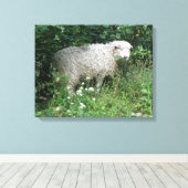 Afdrukken van witte tapijten voor schapen die glad (Insitu (Houten vloer))