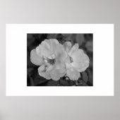 Afdrukken ventilator poster (Voorkant)