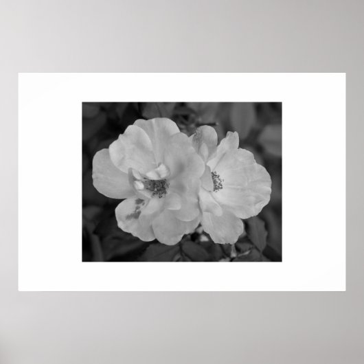 Afdrukken ventilator poster (Voorkant)