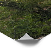 Afdrukken: Virgin River & Watchman 2 Poster (Hoek)