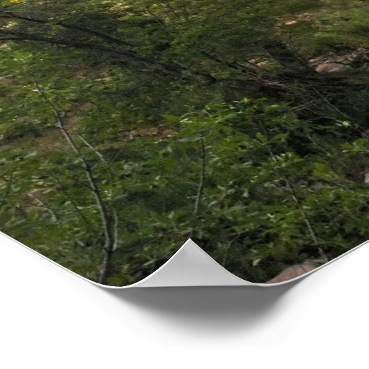 Afdrukken: Virgin River & Watchman 2 Poster (Hoek)