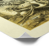 Afdrukken voor kleurenillustraties met conch Shell Poster (Hoek)