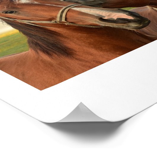 Afdrukken vriendschapsofferte vieren poster (Hoek)