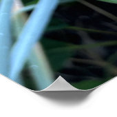 Afdrukken, waardepapier (steen) poster (Hoek)