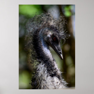 Afdrukken, waardepapier (steen) poster