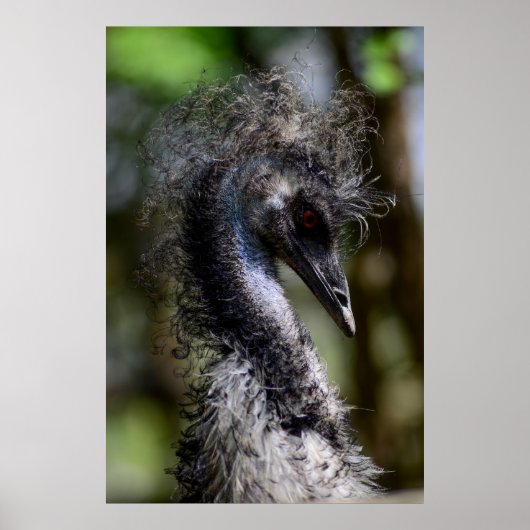 Afdrukken, waardepapier (steen) poster (Voorkant)