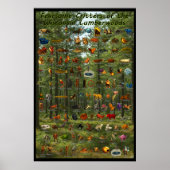 Afdrukken, waardepapier (steen) poster (Voorkant)