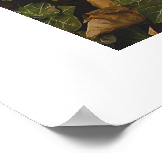 Afdrukken, waardepapier (steen) poster (Hoek)