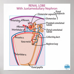 Afdrukken, waardepapier (steen) poster
