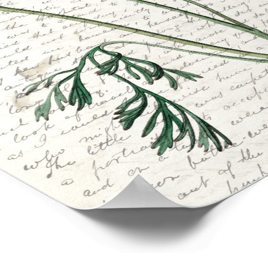 Afdrukken, waardepapier (steen) poster (Hoek)