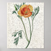 Afdrukken, waardepapier (steen) poster (Voorkant)