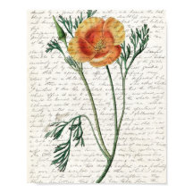 Afdrukken, waardepapier (steen)