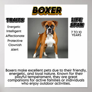 Afdrukken, waardepapier (steen) poster