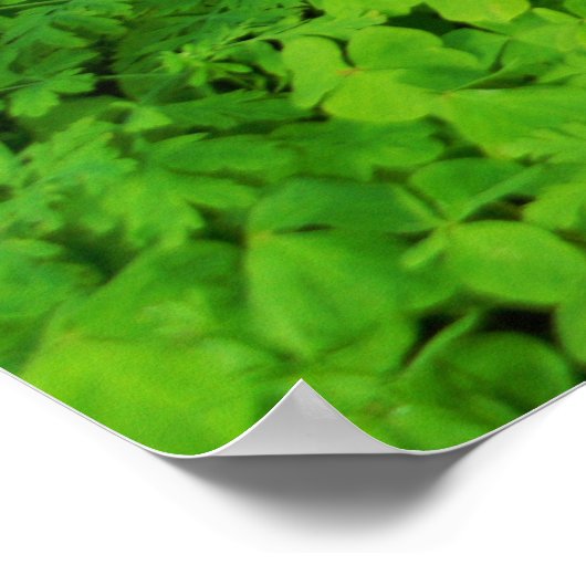 Afdrukken, waardepapier (steen) poster (Hoek)