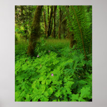 Afdrukken, waardepapier (steen)