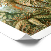 Afdrukken, waardepapier (steen) poster (Hoek)