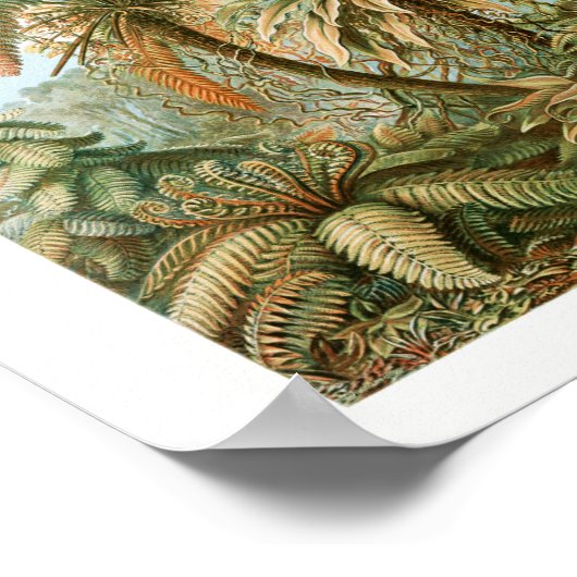 Afdrukken, waardepapier (steen) poster (Hoek)