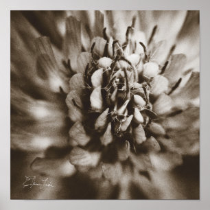 Afdrukken, waardepapier (steen) poster