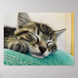 Afdrukken, waardepapier (steen) poster