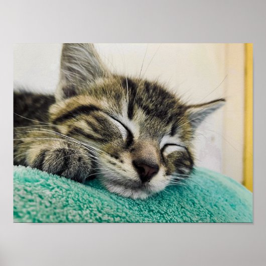 Afdrukken, waardepapier (steen) poster (Voorkant)