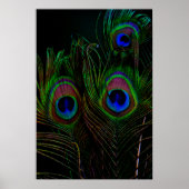 Afdrukken, waardepapier (steen) poster (Voorkant)