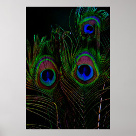 Afdrukken, waardepapier (steen) poster