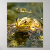 Afdrukken, waardepapier (steen) poster (Voorkant)