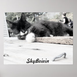 Afdrukken, waardepapier (steen) poster