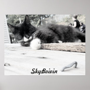 Afdrukken, waardepapier (steen) poster