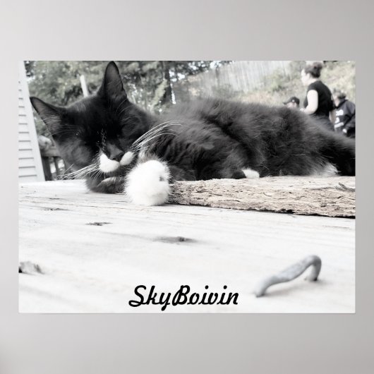 Afdrukken, waardepapier (steen) poster (Voorkant)