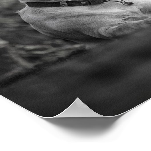 Afdrukken, waardepapier (steen) poster (Hoek)