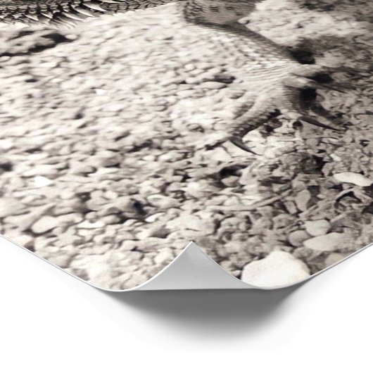 Afdrukken, waardepapier (steen) poster (Hoek)